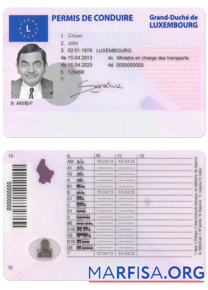 Realistic Luxembourg driving license example